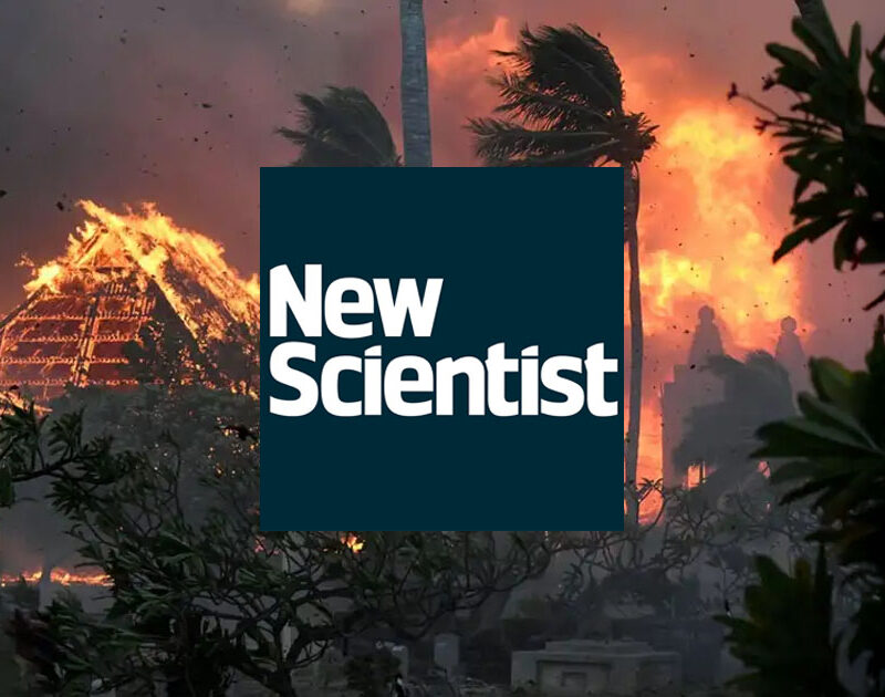 Can sensor technology stop a wildfire before it starts? — Newscientist.com